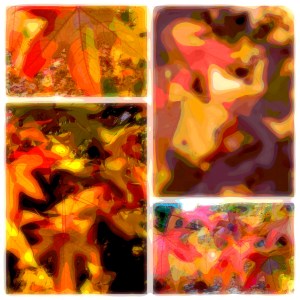 PicsArt_11-14-11.37.26