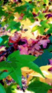 Autumn Fires_11-14-11.39.56