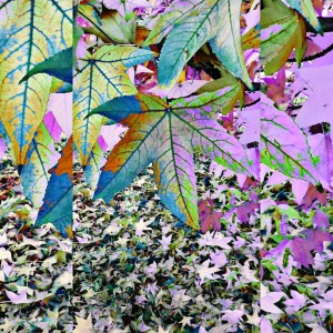 PicsArt_11-27-03.58.25