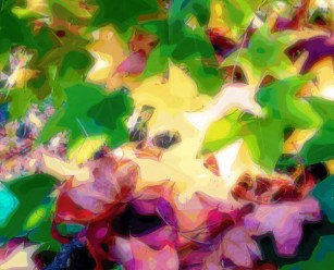 PicsArt_12-04-03.57.25