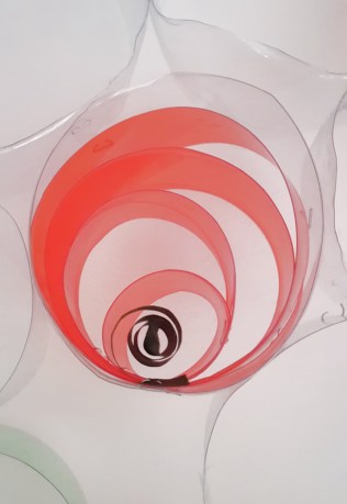 poppt-spiral-close-up