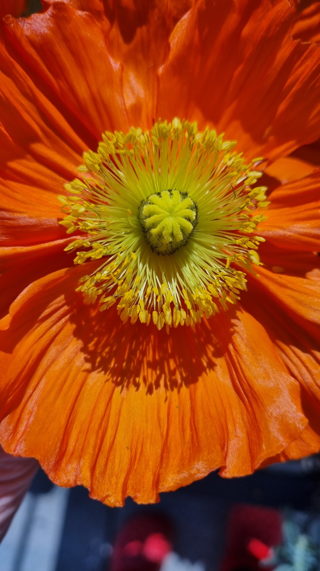 Contrasts. Stretching the Boundaries of Imagination in the pursuit of&nbsp;creativity.