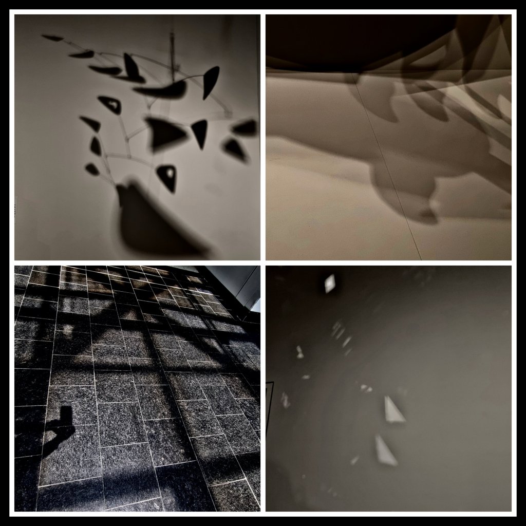 Shadows, life companions